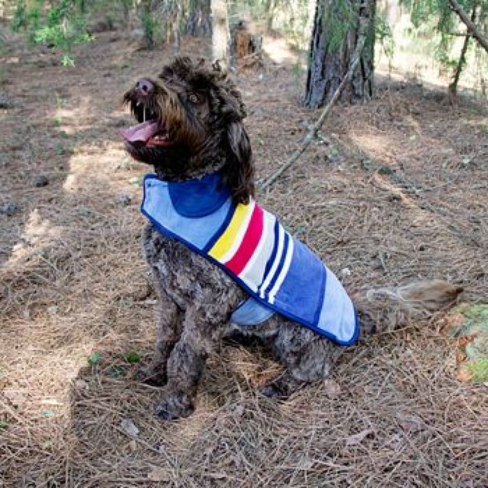 Pendleton Pet Yosemite National Park Dog Coat sz Small